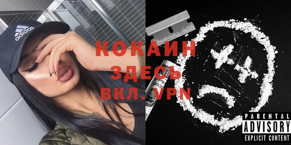 трава Белокуриха