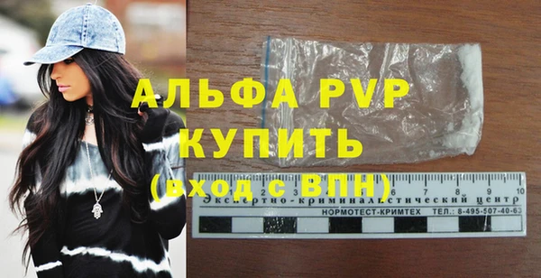 прущие грибы Богородицк