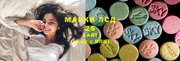 прущие грибы Богородицк