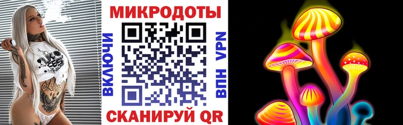 Галлюциногенные грибы Psilocybe Купить где Таруса